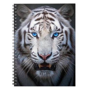 White Tiger Blue Eyes Notebook