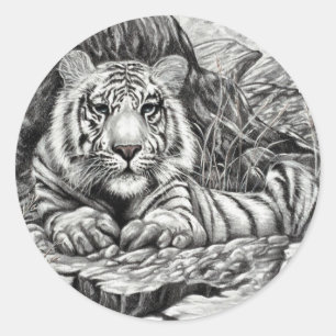 WHITE TIGER by Diana S Martin Classic Round Sticker