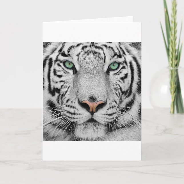 White Tiger Card (Front)
