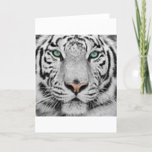 White Tiger Card