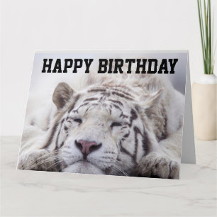 WHITE TIGER CAT NAP, EAT CAKE, BIRTHDAY BIG CARD