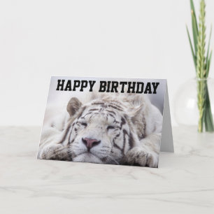 WHITE TIGER CAT NAP, EAT CAKE, BIRTHDAY CARD