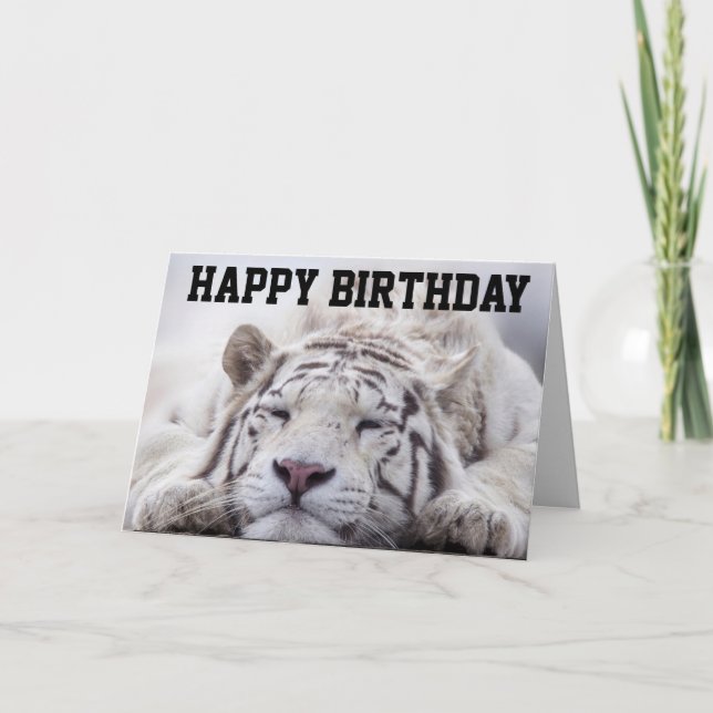 WHITE TIGER CAT NAP, EAT CAKE, BIRTHDAY CARD (Front)