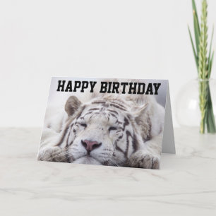WHITE TIGER CAT NAP, EAT CAKE, BIRTHDAY CARD