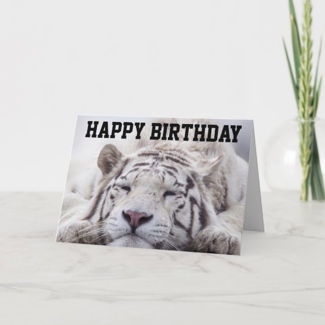 WHITE TIGER CAT NAP, EAT CAKE, BIRTHDAY CARD (Front)