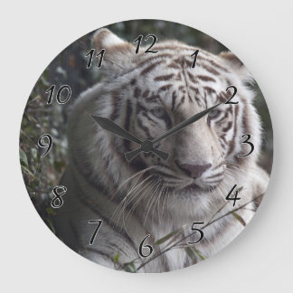 White Tiger Close-up Large Clock