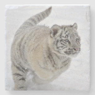 White Tiger Cub Stone Coaster