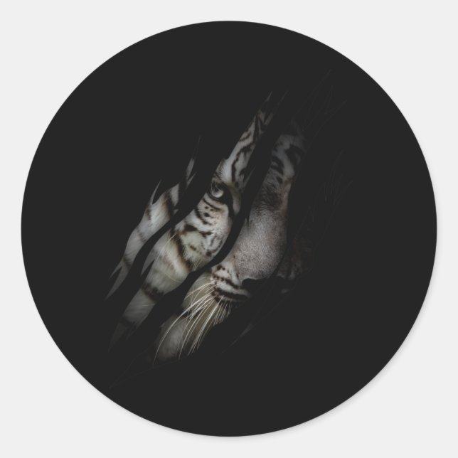 White Tiger Face Torn Claw Wild Safari Animal Cat Classic Round Sticker (Front)