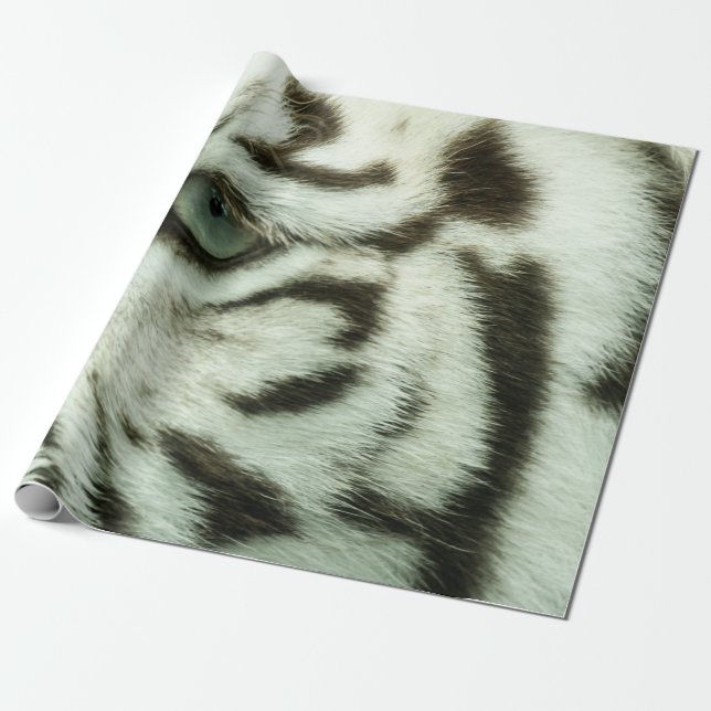 WHITE TIGER FACE WRAPPING PAPER (Unrolled)