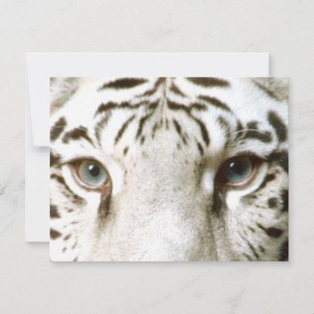 White Tiger Feng Shui Invitation ~ EZ2 Customise (Front)