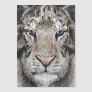 White Tiger Head 