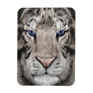 White Tiger Head Wildlife Aesthetic Magnet