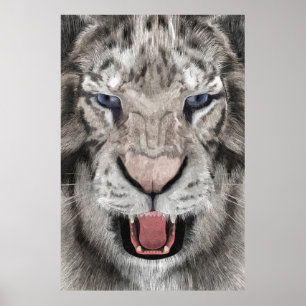 White Tiger Head Wildlife Aesthetic Poster