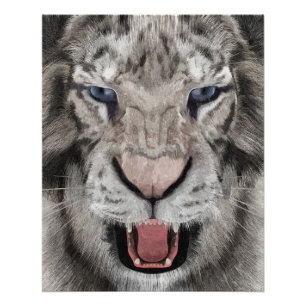 White Tiger Head Wildlife Aesthetic Poster
