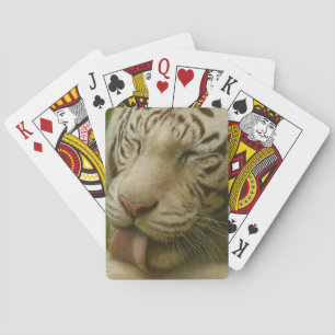 White Tiger in Private Grooming Ritual Playing Cards