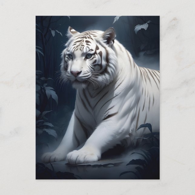 white tiger in the night postcard (Front)