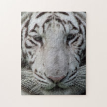 White Tiger