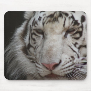 White Tiger Mouse Mat