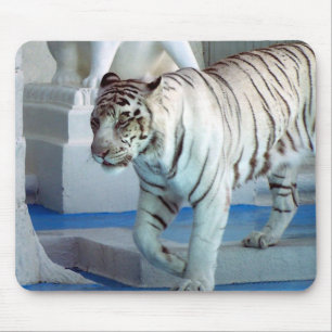 White Tiger Mouse Mat