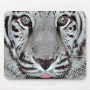 White Tiger Mouse Mat