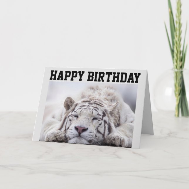 WHITE TIGER NAP, EAT CAKE, BIRTHDAY CARD (Front)