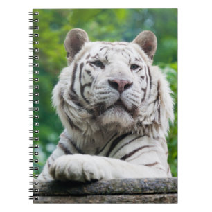 White Tiger notebook