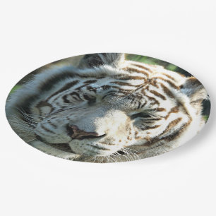 White Tiger Paper Plate