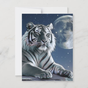 White tiger postcard