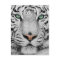White Tiger