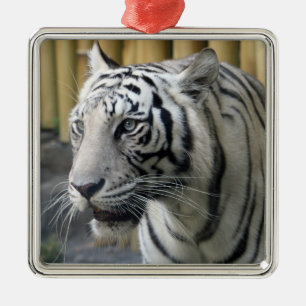 White Tiger Premium Ornament