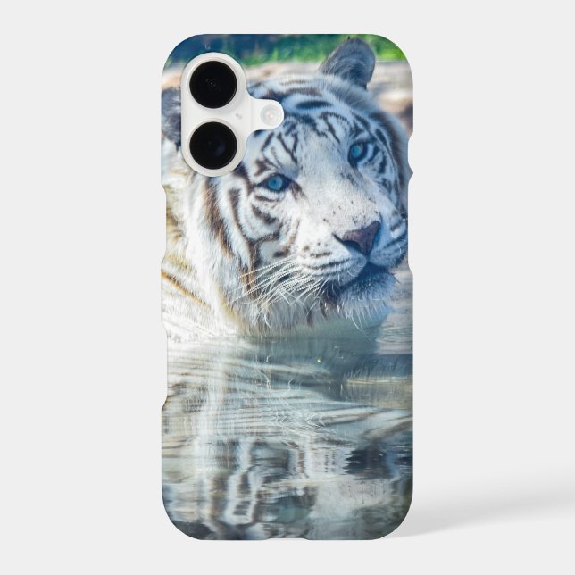 White Tiger reflection (Back)