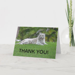 White Tiger Resting in Gentle Meadow Light Thank You Card