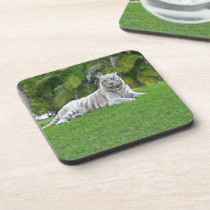 White Tiger Resting in Green Forest Shade Coaster