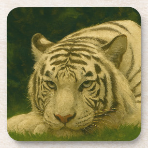 White Tiger Resting in Woodland Shade Coaster