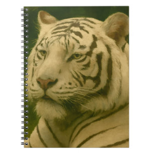 White Tiger Resting in Woodland Shade Notebook