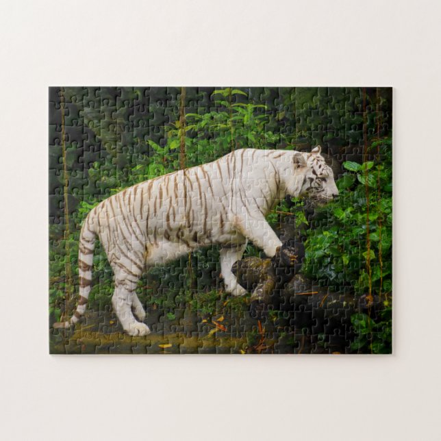 White Tiger Singapore. Jigsaw Puzzle (Horizontal)