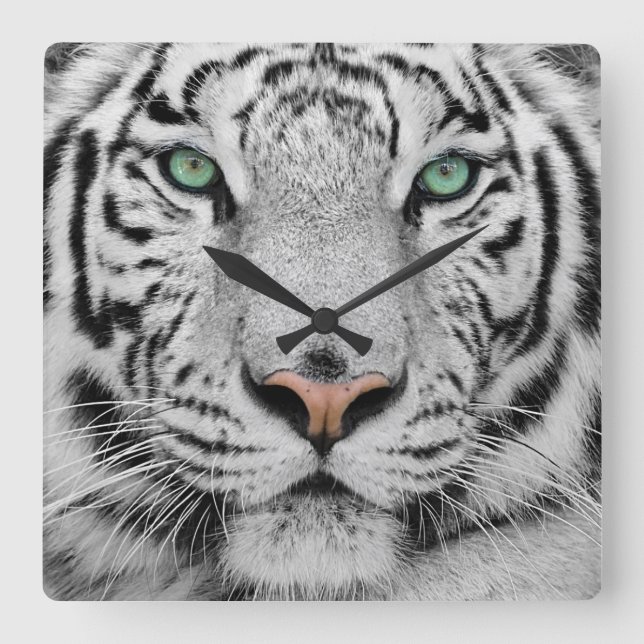 White Tiger Square Wall Clock (Front)
