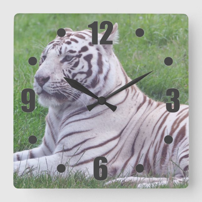 White Tiger Square Wall Clock (Front)