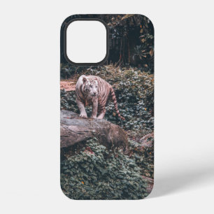 WHITE TIGER STANDING ON GREY STONE iPhone 12 CASE