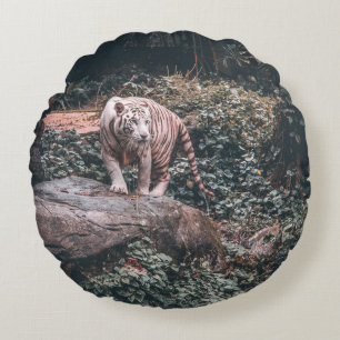 WHITE TIGER STANDING ON GREY STONE ROUND CUSHION