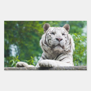 White Tiger stickers