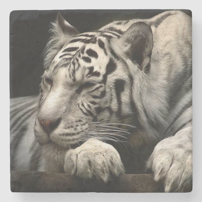 White Tiger Stone Coaster (Front)