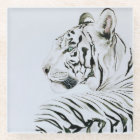 White Tiger Watercolor