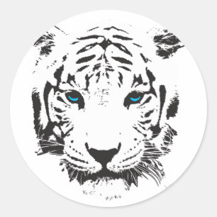 White Tiger with Blue Eyes Classic Round Sticker