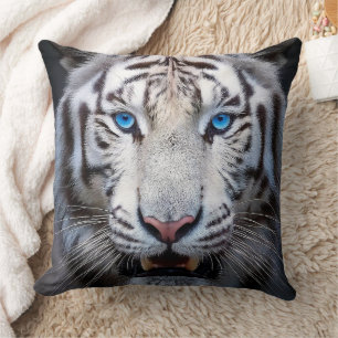White Tiger with Blue Eyes Cushion