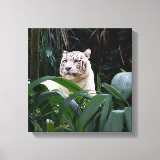 White Tiger Wrapped Canvas