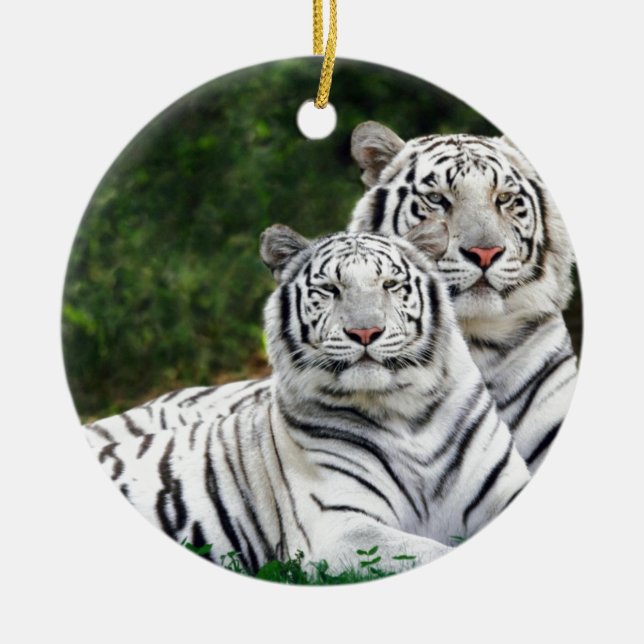 White Tigers Ceramic Tree Decoration (Front)
