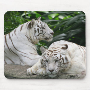 white tigers mouse mat