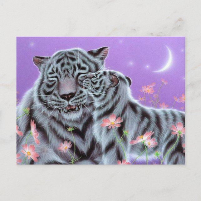 White Tigers Postcard (Front)