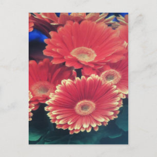 White Tipped Flower Postcard